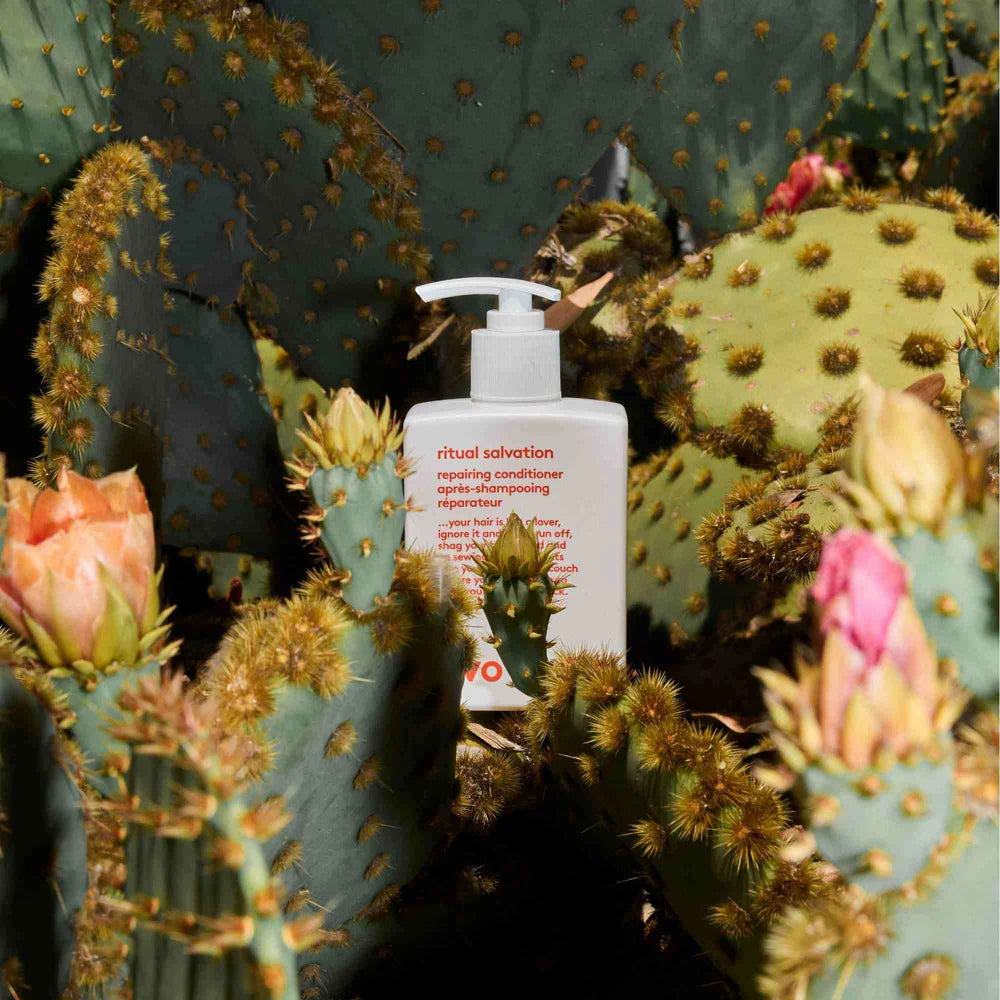 ritual salvation repairing conditioner 300ml